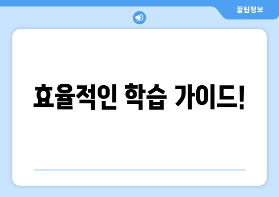 효율적인 학습 가이드!