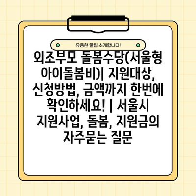 외조부모 돌봄수당(서울형 아이돌봄비)| 지원대상, 신청방법, 금액까지 한번에 확인하세요! | 서울시 지원사업, 돌봄, 지원금