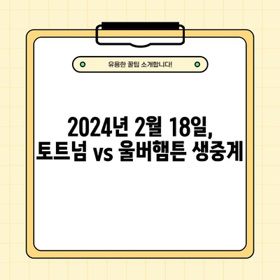 손흥민 vs 황희찬 코리안 더비! 2024년 2월 18일 토트넘 vs 울버햄튼 중계 & 하이라이트 | 축구 생중계, 경기 결과, 모바일 시청