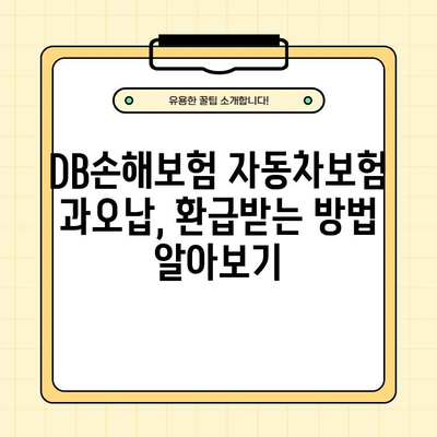 DB손해보험 자동차보험 과오납 보험료 환급받는 방법| 자세한 안내와 절차 | 과오납, 환급, 보험료, 자동차보험, DB손해보험