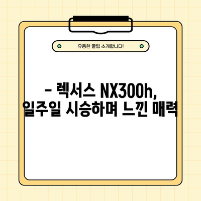 렉서스 NX300h 렌터카 일주일 시승 후기| 장점, 단점, ACC & 네비게이션 사용 경험 |  실제 주행 후기, 장단점 분석