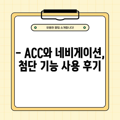 렉서스 NX300h 렌터카 일주일 시승 후기| 장점, 단점, ACC & 네비게이션 사용 경험 |  실제 주행 후기, 장단점 분석