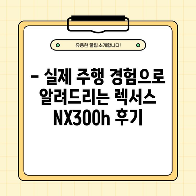 렉서스 NX300h 렌터카 일주일 시승 후기| 장점, 단점, ACC & 네비게이션 사용 경험 |  실제 주행 후기, 장단점 분석