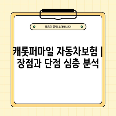 캐롯퍼마일 자동차보험| 고객센터, 긴급출동, 플러그 단점 후기 총정리 | 캐롯, 자동차 보험, 클리앙