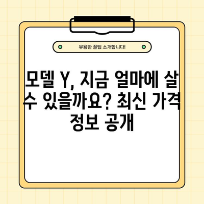 테슬라 모델 Y 최신 소식| 보조금, 주행 거리, 가격, 그리고 더 많은 정보 | 전기차, 테슬라, 모델 Y, 구매 가이드