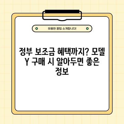 테슬라 모델 Y 최신 소식| 보조금, 주행 거리, 가격, 그리고 더 많은 정보 | 전기차, 테슬라, 모델 Y, 구매 가이드