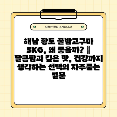 해남 황토 꿀밤고구마 5KG, 왜 좋을까? |  달콤함과 깊은 맛, 건강까지 생각하는 선택