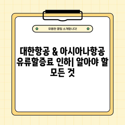 2024년 4월 대한항공 & 아시아나항공 유류할증료 인하| 국제선 & 국내선 상세 분석 | 항공료, 여행, 할인