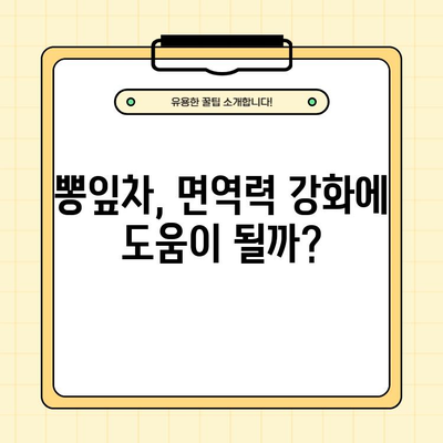 뽕잎차 효능, 부작용, 하루 섭취량, 끓이는법 완벽 가이드 | 건강, 다이어트, 면역력, 혈당