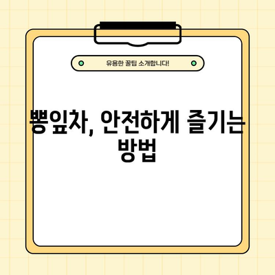 뽕잎차 효능, 부작용, 하루 섭취량, 끓이는법 완벽 가이드 | 건강, 다이어트, 면역력, 혈당