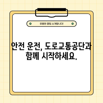 도로교통공단 안전운전 통합민원 홈페이지 바로가기 | 운전면허, 자동차 등록, 교통 법규, 안전 정보, 민원 신청