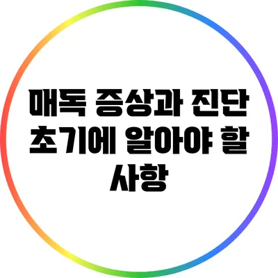 매독 증상과 진단: 초기에 알아야 할 사항