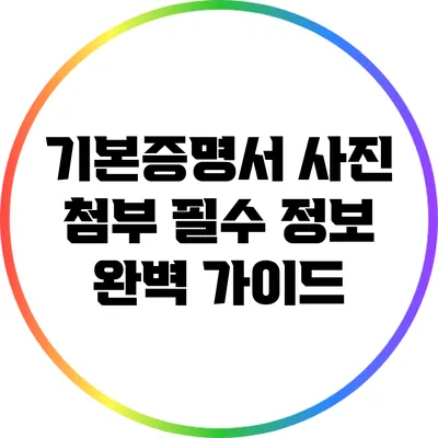 기본증명서 사진 첨부 필수 정보 완벽 가이드