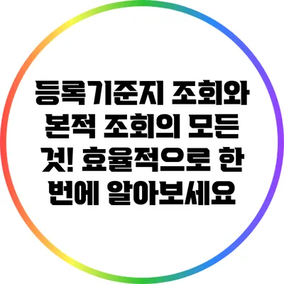 등록기준지 조회와 본적 조회의 모든 것! 효율적으로 한 번에 알아보세요