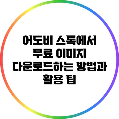 어도비 스톡에서 무료 이미지 다운로드하는 방법과 활용 팁