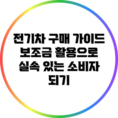 전기차 구매 가이드: 보조금 활용으로 실속 있는 소비자 되기