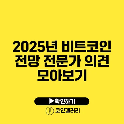 2025년 비트코인 전망: 전문가 의견 모아보기