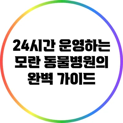 24시간 운영하는 모란 동물병원의 완벽 가이드