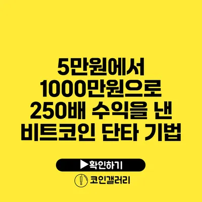 5만원에서 1000만원으로: 250배 수익을 낸 비트코인 단타 기법