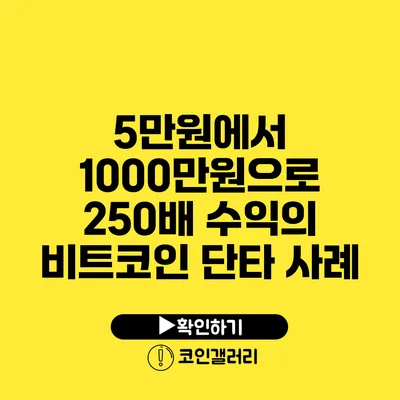 5만원에서 1000만원으로: 250배 수익의 비트코인 단타 사례