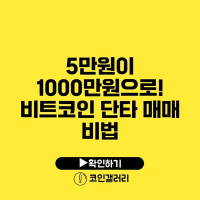 5만원이 1000만원으로! 비트코인 단타 매매 비법