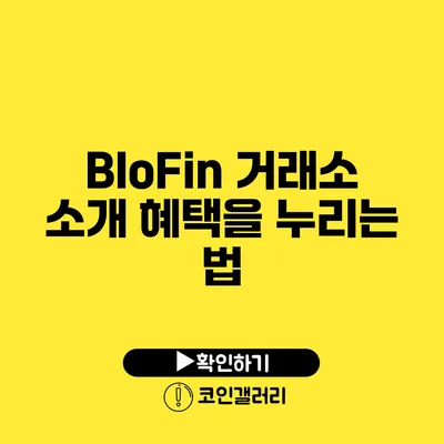 BloFin 거래소 소개: 혜택을 누리는 법