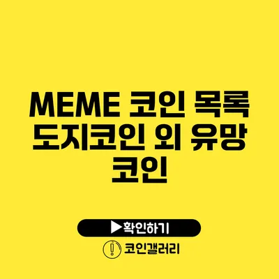 MEME 코인 목록: 도지코인 외 유망 코인
