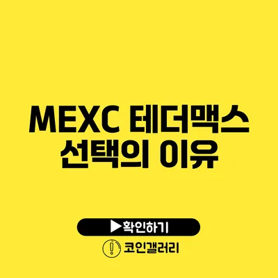 MEXC 테더맥스 선택의 이유