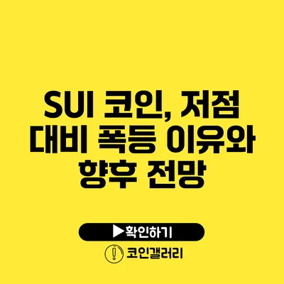 SUI 코인, 저점 대비 폭등 이유와 향후 전망
