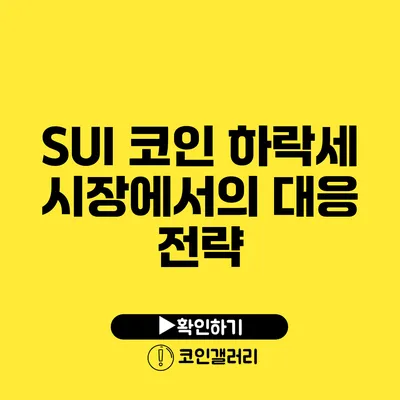 SUI 코인 하락세: 시장에서의 대응 전략