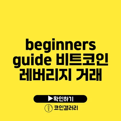 beginners guide: 비트코인 레버리지 거래