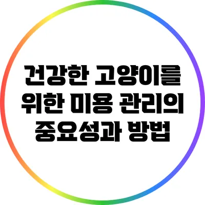 건강한 고양이를 위한 미용 관리의 중요성과 방법
