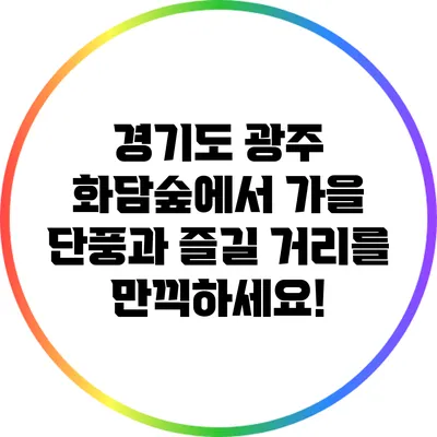 경기도 광주 화담숲에서 가을 단풍과 즐길 거리를 만끽하세요!