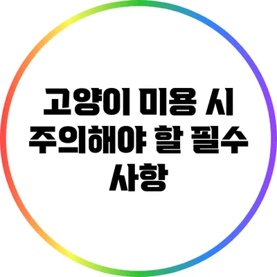 고양이 미용 시 주의해야 할 필수 사항