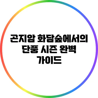 곤지암 화담숲에서의 단풍 시즌 완벽 가이드