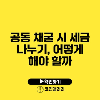 공동 채굴 시 세금 나누기, 어떻게 해야 할까?