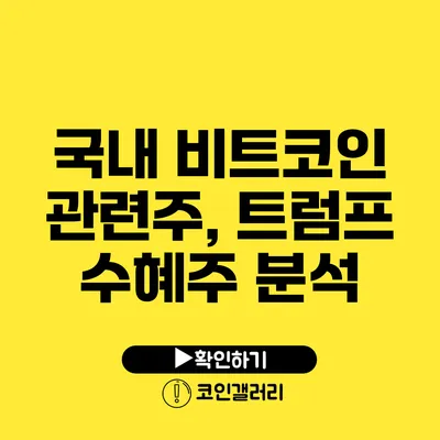 국내 비트코인 관련주, 트럼프 수혜주 분석