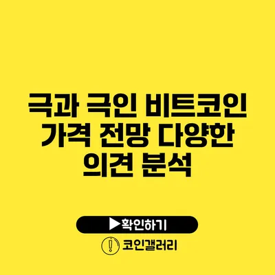 극과 극인 비트코인 가격 전망: 다양한 의견 분석
