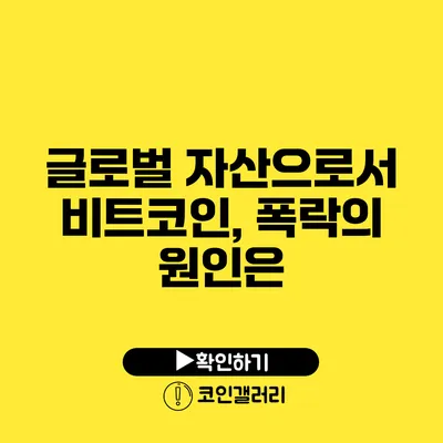 글로벌 자산으로서 비트코인, 폭락의 원인은?
