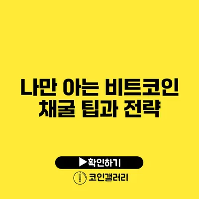 나만 아는 비트코인 채굴 팁과 전략