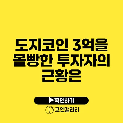 도지코인 3억을 몰빵한 투자자의 근황은?