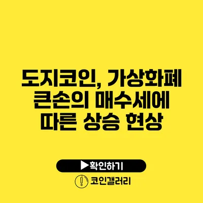 도지코인, 가상화폐 큰손의 매수세에 따른 상승 현상