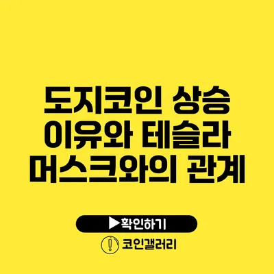 도지코인 상승 이유와 테슬라 머스크와의 관계