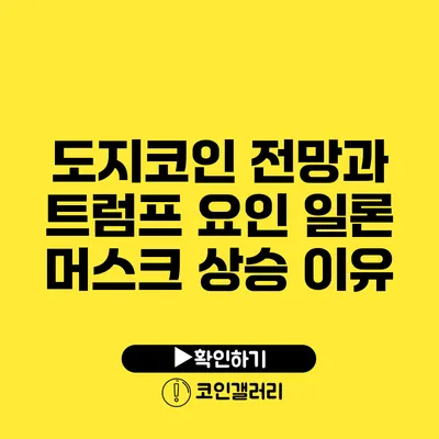 도지코인 전망과 트럼프 요인: 일론 머스크 상승 이유