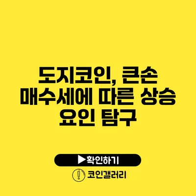 도지코인, 큰손 매수세에 따른 상승 요인 탐구