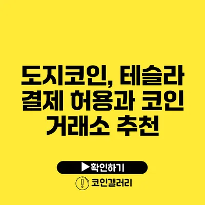 도지코인, 테슬라 결제 허용과 코인 거래소 추천