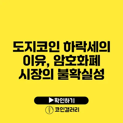 도지코인 하락세의 이유, 암호화폐 시장의 불확실성