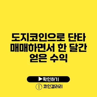 도지코인으로 단타 매매하면서 한 달간 얻은 수익
