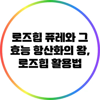 로즈힙 퓨레와 그 효능: 항산화의 왕, 로즈힙 활용법