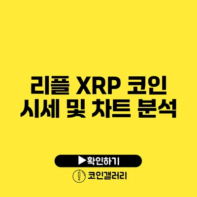 리플 XRP 코인 시세 및 차트 분석
